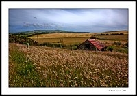 Back of Wight - Shorwell Isle of Wight