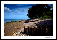 Bembridge Coast - Isle of Wight